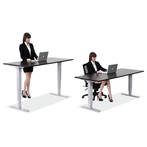 Dual Motor Standing Desk