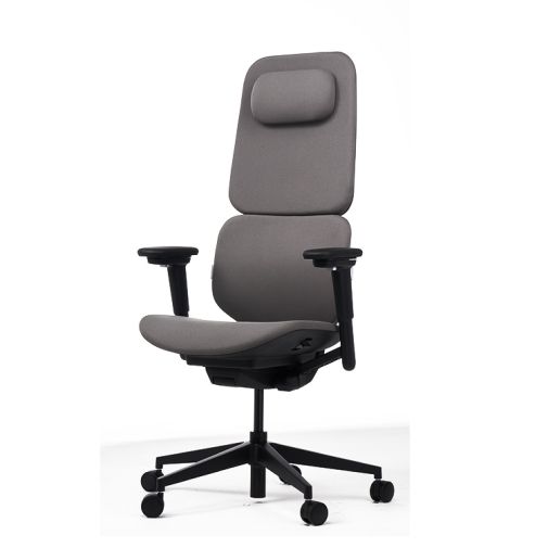 Office Ergonomic Chair-Fit