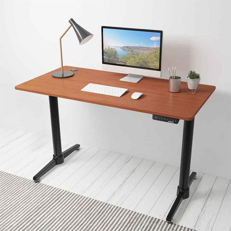 Dual Motor Standing Desk