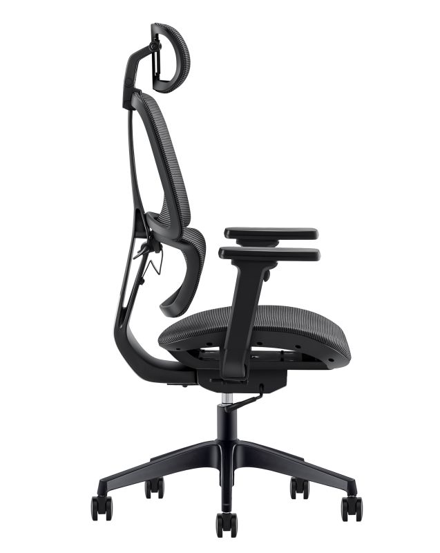 Ergonomic Chair TG