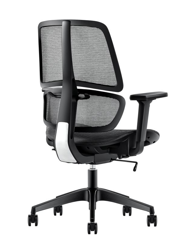 Best Mesh Ergonomic Office Chair