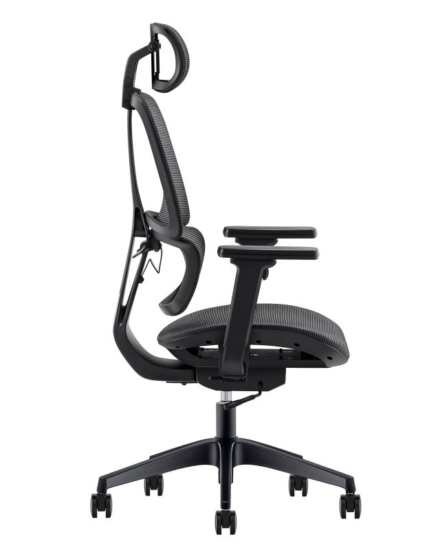 Best Mesh Ergonomic Office Chair