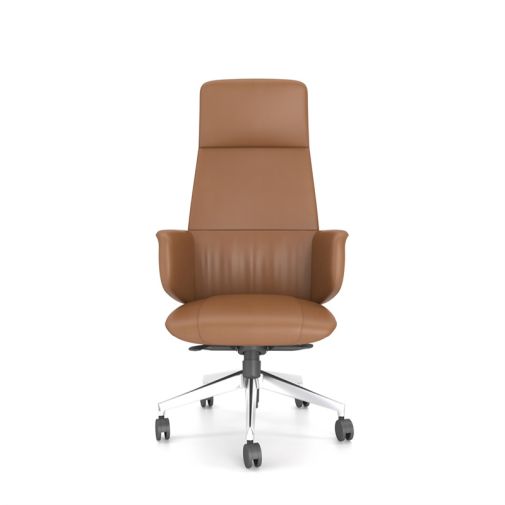 Business Leather Office Chair-CAM80SC