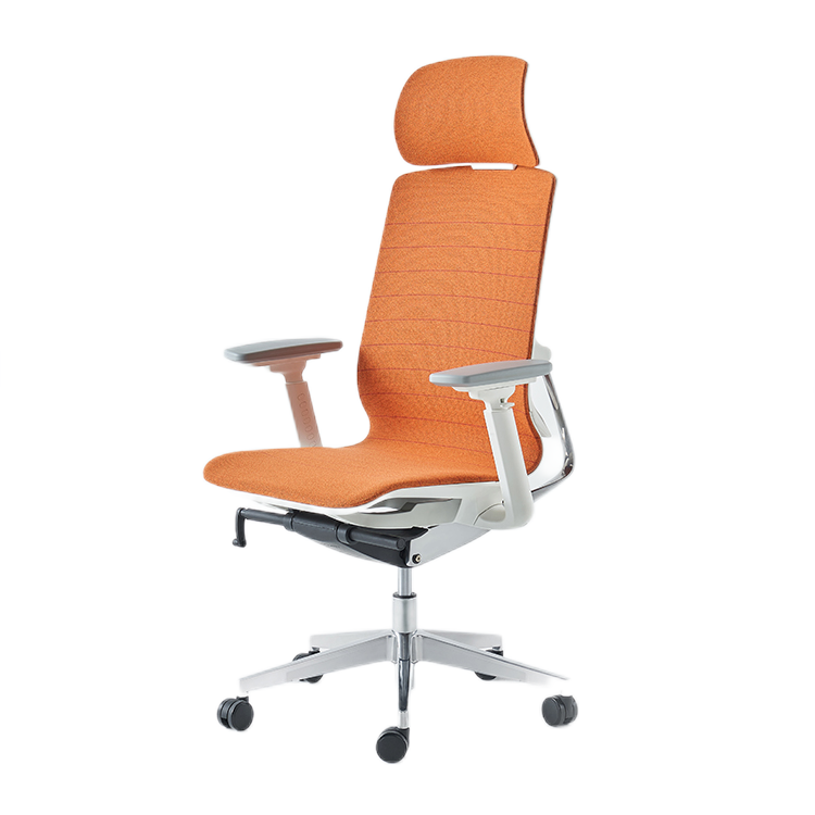 Comfy Ergonomic Office Chair SK