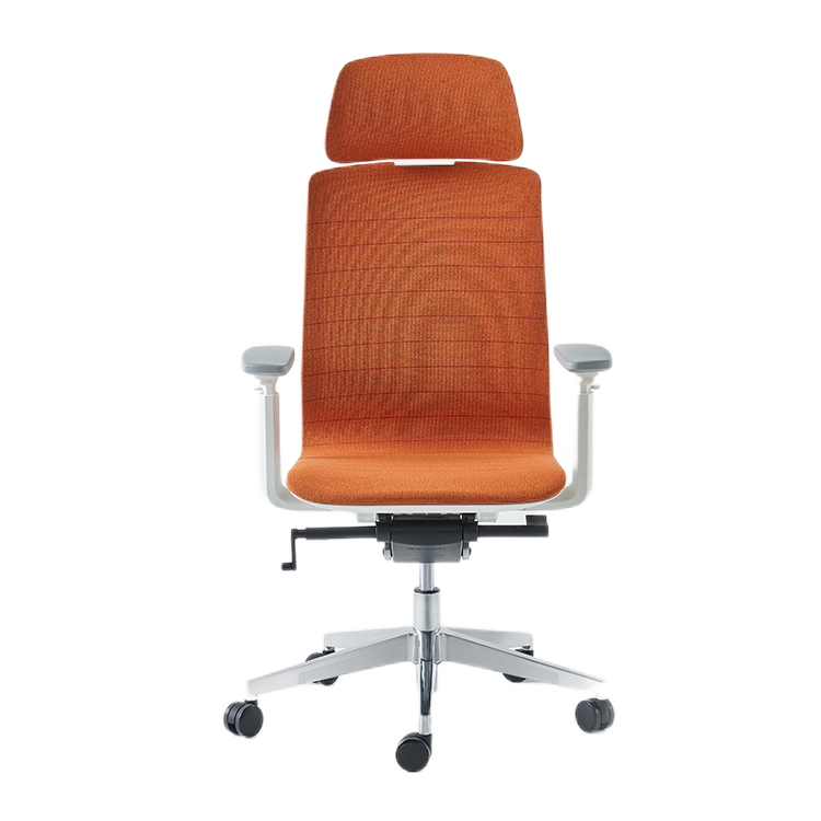 Comfy Ergonomic Office Chair SK