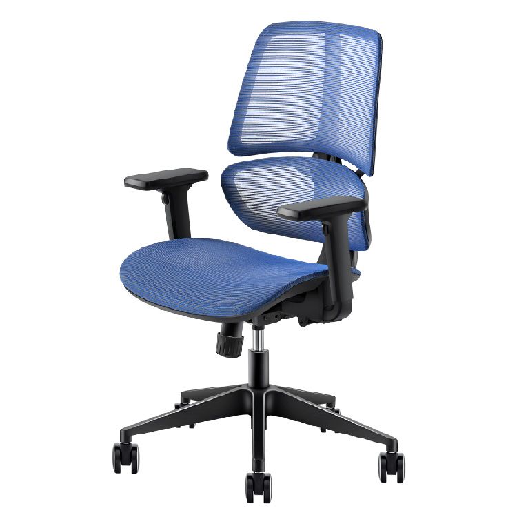 Ergonomic Mesh Back Office Chair, Diffrient Smart