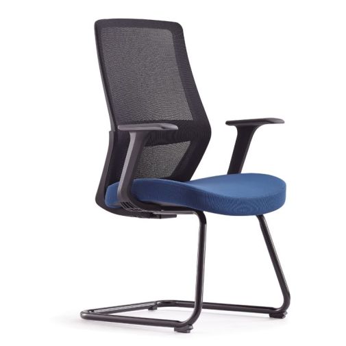 Comfortable Visitor Chair