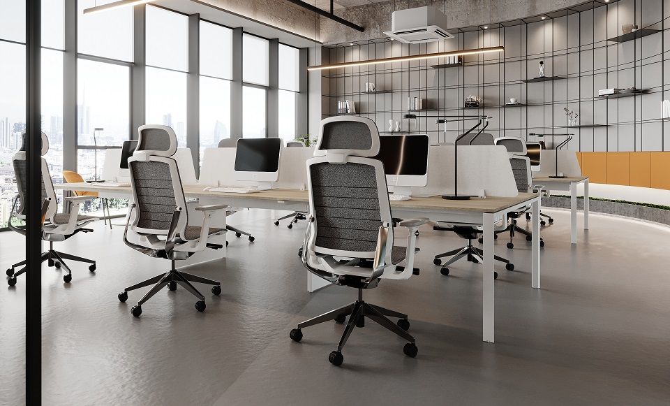 Do Ergonomic Chairs Really Work?