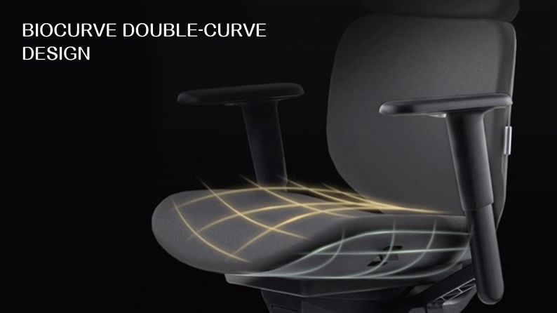 BioCurve Double-Curve Design