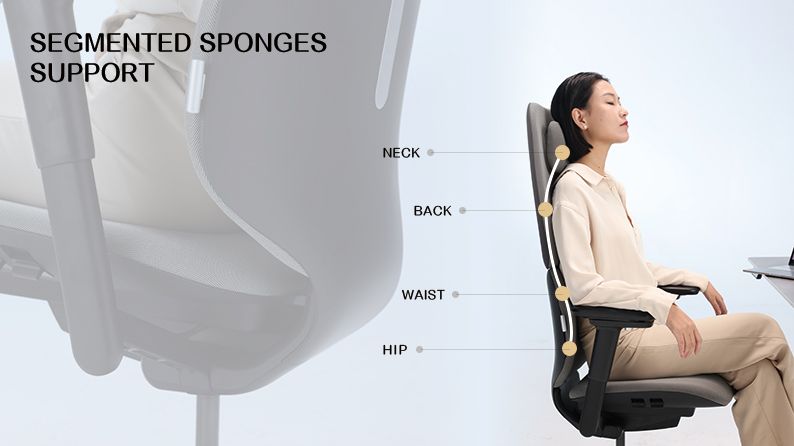 Segmented Sponges Support
