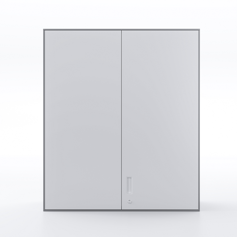 White Swing Door Cabinet with Top Panel and 2 Shelves