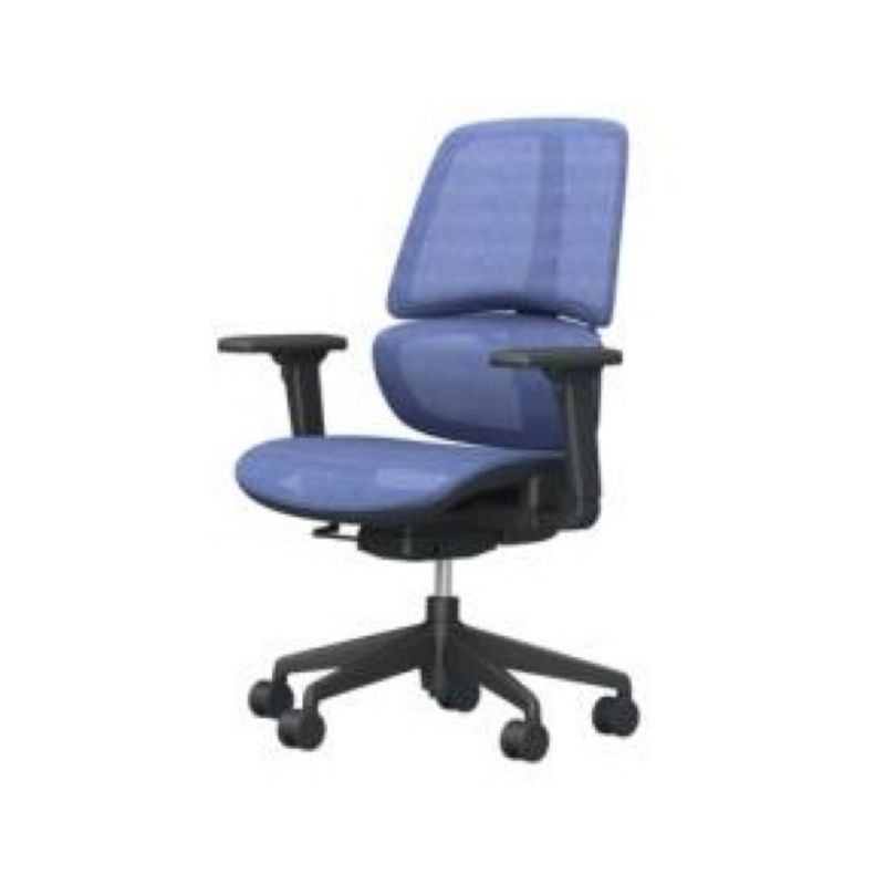 Ergonomic Mesh Office Chair (3-Locking Without Headrest)