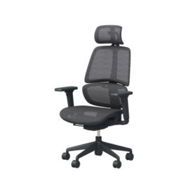High-Back Ergonomic Mesh Office Chair with 4D Headrest